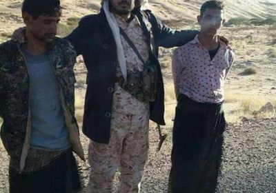 مقاومة شبوة: 10 حوثيين سلموا أنفسهم وانهيارات متسارعة في صفوف المليشيات