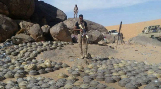 نزع 6 آلاف لغم زرعها الحوثيون في الجوف