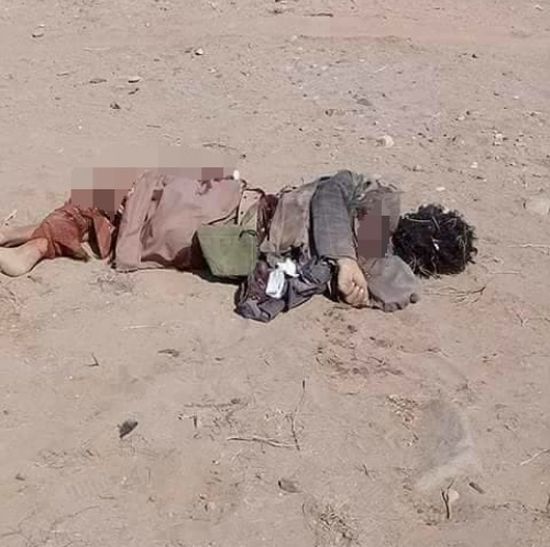 مصدر بالمقاومة يؤكد مقتل وأسر«70» حوثيا في الهجوم الفاشل على الخوخة ويطالب التحالف بسرعة الدعم والتعزيز 