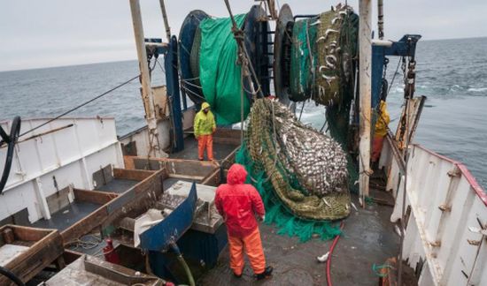 لماذا يعتبر الصيد بالصعق الكهربائي أمرا مخيفا؟