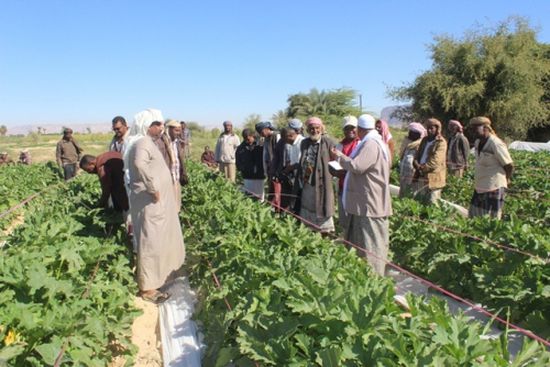 وكالة تنمية المنشآت الصغيرة والأصغر تدشن اليوم الحقلي  بوادي حضرموت