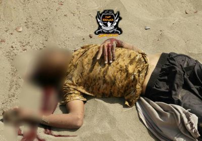 قوات العمالقة تنفذ عملية التفاف وتطهير شمال شرق الخوخة  ومقتل اكثر من«25» حوثيا