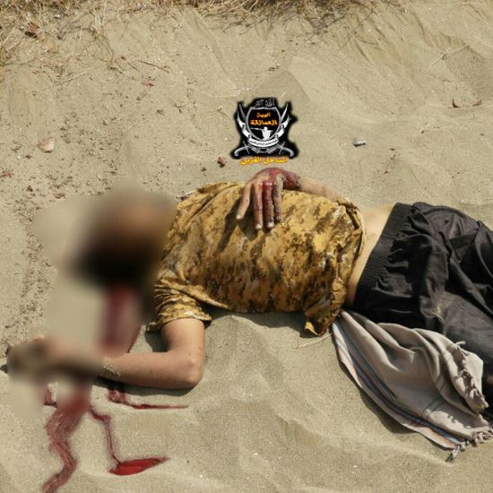 قوات العمالقة تنفذ عملية التفاف وتطهير شمال شرق الخوخة  ومقتل اكثر من«25» حوثيا