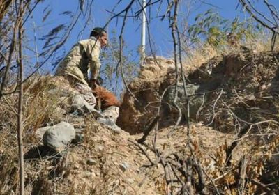 تعز: الجيش الوطني يحرر مواقع جديدة ومقتل 22 حوثياً