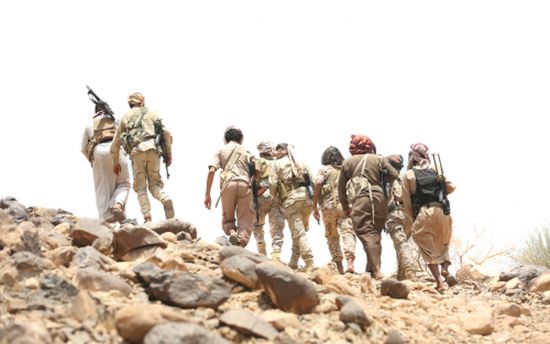 الجيش اليمني يقترب من الجراحي وجبل راس في الحديدة ويتقدم جنوب تعز
