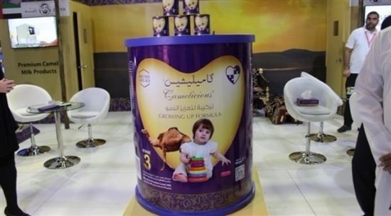 الإمارات: أول حليب للأطفال من الإبل في دبي