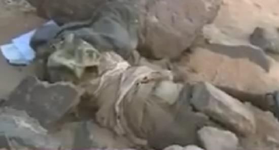 شاهد.. ماذا تفعل ميليشيا الحوثي بجثث قتلاها وبشهداء الجيش الوطني 