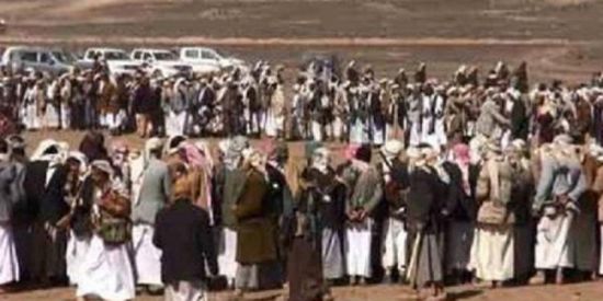 قبائل صعدة ترفض التجنيد الحوثي