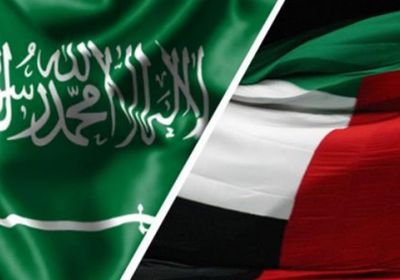 سياسي إماراتي : السعودية والإمارات أكثر الدول رغبة في وقف الحرب باليمن