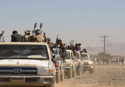 قبائل مأرب تدفع بالمئات من مقاتليها للمشاركة في العمليات العسكرية ضد الحوثيين في جبهة قانية