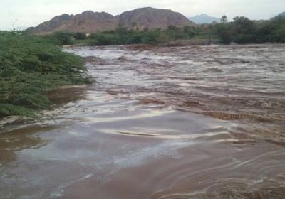 اليمن: السيول تجرف مساحات زراعية في وادي زبيد بالحديدة