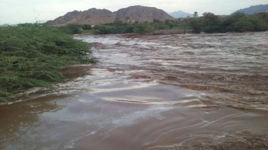 اليمن: السيول تجرف مساحات زراعية في وادي زبيد بالحديدة