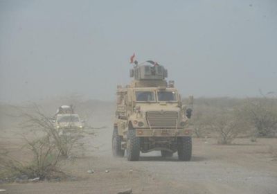 تقدم متسارع لقوات المقاومة الوطنية في الساحل الغربي أثار هلع الحوثيين