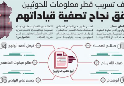 إخراج قطر من التحالف حقق انتصارات على أهداف إرهابية حوثية إيرانية