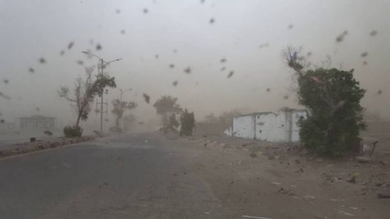 رياح شديدة في عدن تنذر  بإعصار قادم 