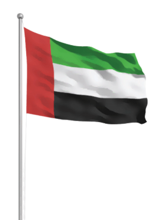 تعهد اماراتي بمواصلة جهدها في اليمن لضمان وصول المساعدات