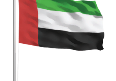 مركز جنيف لحقوق الإنسان يشيد بالجهود الإنسانية لدولة الإمارات في اليمن