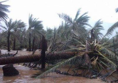 عاجل | محافظ سقطرى يطلق مناشدة عاجلة لدول التحالف العربي