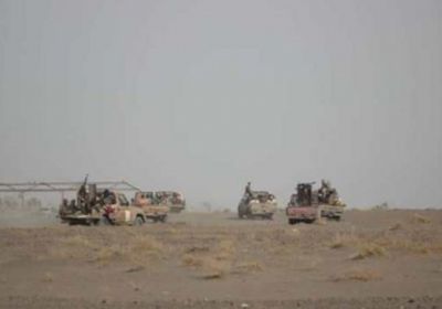 عاجل: #المقاومة تسيطر على أولى قرى “الدريهمي “الملاصقة #للحديدة