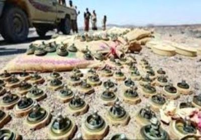الجيش الوطني يتلف كميات من الألغام والمتفجرات في جبهة البقع