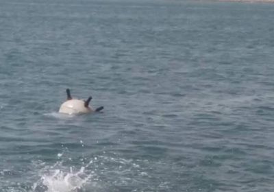 خبراء &laquo;التحالف&raquo; يدمرون ألغاماً بحرية زرعها الحوثيون