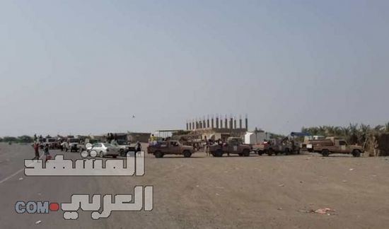 بإسناد إماراتي .. القوات المشتركة تمشط مناطق واسعة جنوبي الحديدة