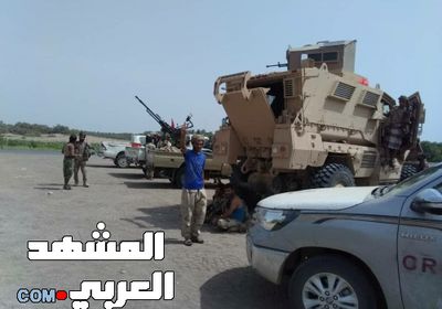 المقاومة الوطنية تواصل تقدمها باتجاه مركز مدينة الحديدة وتسيطر على منطقة السوافر على مدخل مديرية الحسينية (صور)