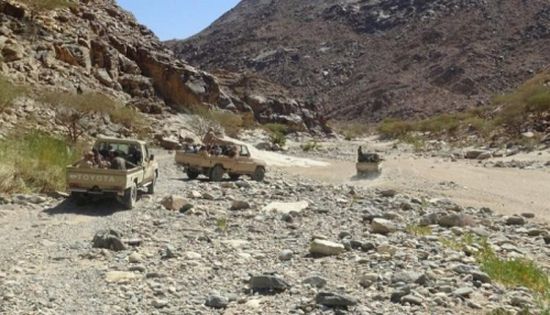 مقتل 37 حوثيا وأسر 30 في عملية عسكرية للجيش الوطني بالبيضاء