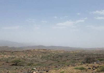 قوات الجيش تحقق تقدما ملحوظا في لحج وتطهر عدد من المواقع من ميليشيات الحوثي 