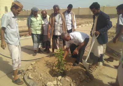 صندوق النظافة وتحسين المدينة بالملاح يدشن عملية التشجير للمرافق الحكومية والشوارع العامة