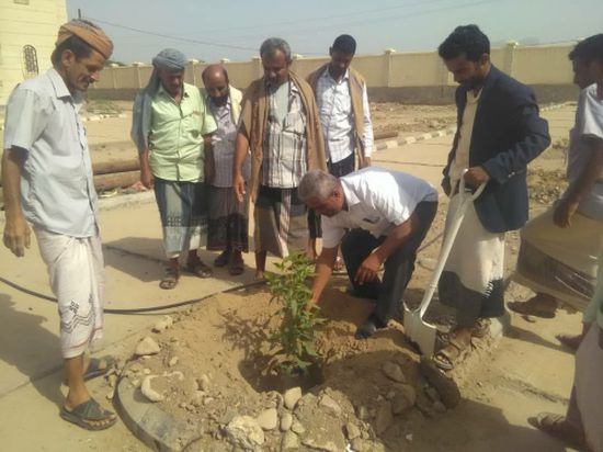 صندوق النظافة وتحسين المدينة بالملاح يدشن عملية التشجير للمرافق الحكومية والشوارع العامة