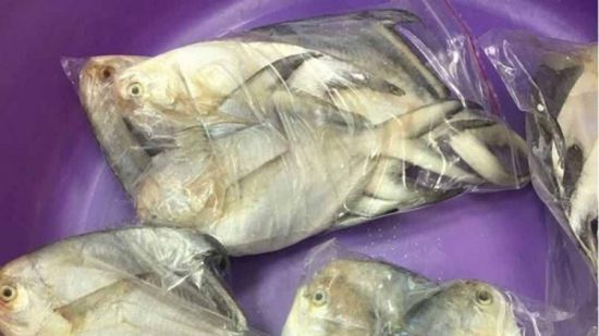 النيابة الكويتية تحقق في قضية "المسامير داخل الأسماك"