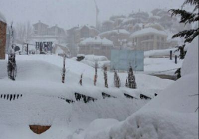 عادتا إلى الحياة بعد آلاف السنين من التجمد