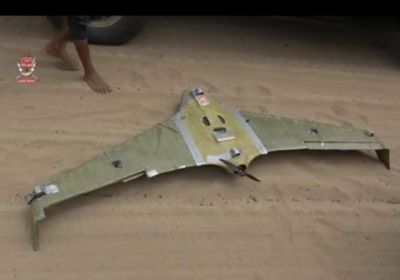 قوات العمالقة تسقط طائرة تابعة للحوثيين في جبهة الدريهمي  ” صورة “  