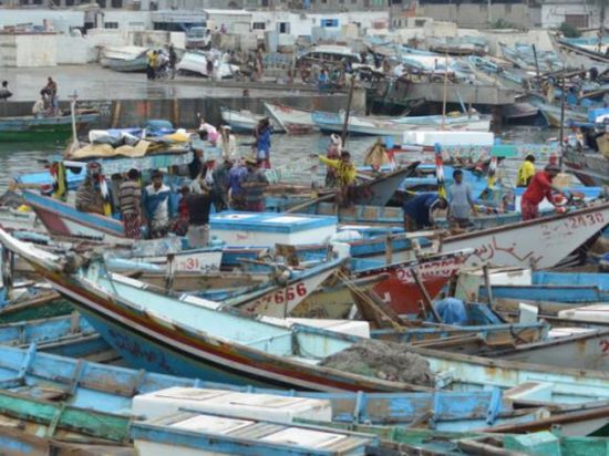 بدعم إماراتي..  افتتاح مرسى قوارب الصيادين في الخوخة