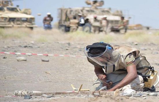 مقتل وإصابة 43 مدنياً بالألغام الحوثية في التحيتا
