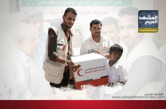الدعم الإماراتي لليمن (إنفوجرافيك)