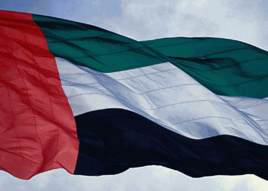 الإمارات: ندعم الحل السياسي.. ونجدد التزامنا الإنساني تجاه سوريا