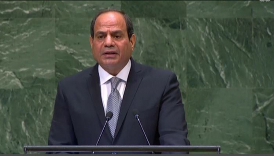 الرئيس المصري: لا مخرج للأزمات في سوريا واليمن وليبيا إلا باستعادة الدولة