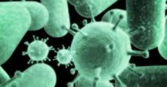 تعرف على الفرق بين العدوى البكتيرية والعدوى الفيروسية؟