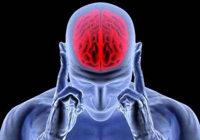 دراسة حديثة: التوتر في الأربعين يؤدِّي لاضمحلال الدماغ وتقلص المخ