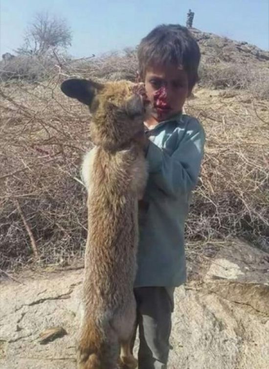 شاهد.. طفل يمني يعارك حيواناً مفترساً ويقتله خنقاً