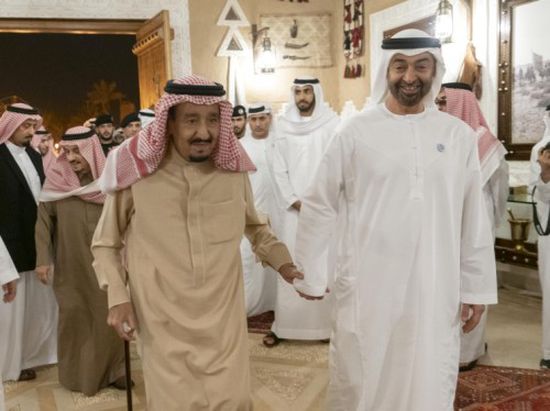 محمد بن زايد: الإمارات والسعودية مصيرهما واحد