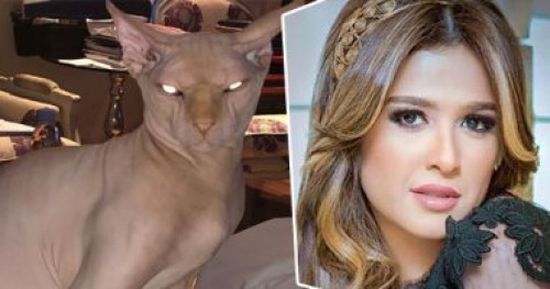 قطة ياسمين عبد العزيز المرعبة تثير الجدل على السوشيال ميديا