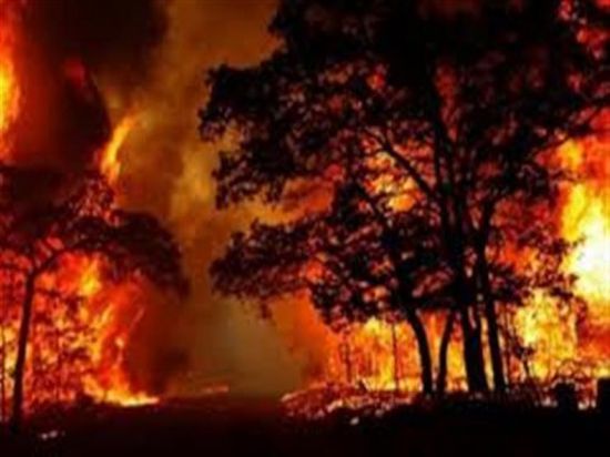 حريق الغابات تطارد مشاهير كاليفورنيا  بمنازلهم