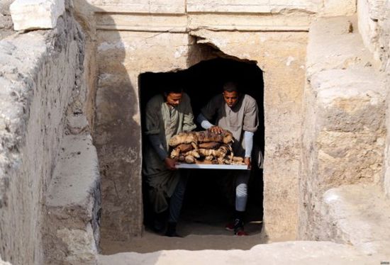 "شاهد".. مصر تُعلن عن اكتشاف أثري جديد لـ7 مقابر فرعونية