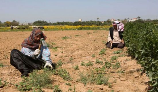 الاحتلال الإسرائيلي يطلق النار على مزارعين بغزة