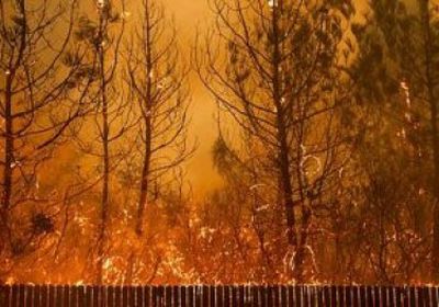 ارتفاع عدد ضحايا حرائق الغابات فى ولاية كاليفورنيا الأمريكية لـ80 قتيلا