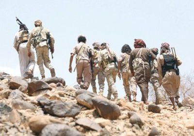 كيف نجحت قوات الجيش في السيطرة على مواقع الشريجة الحيوية؟