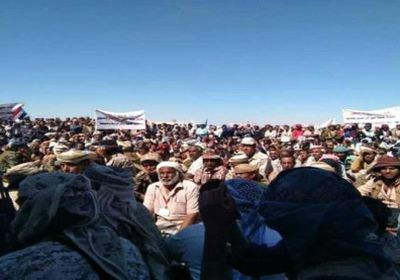 مهرجان شعبي للهيئة الشعبية بشبوة